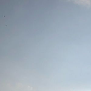 Meet your Posher, Hailey